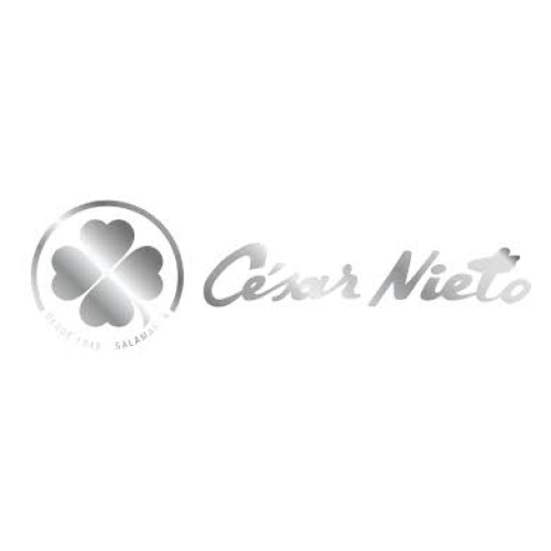 Foto empresa Cesar Nieto Group SL
