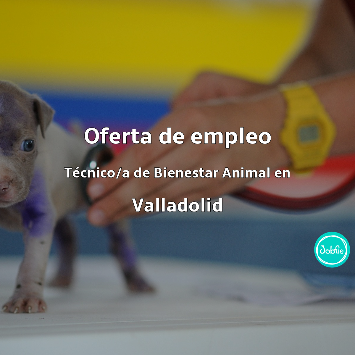 Foto empresa